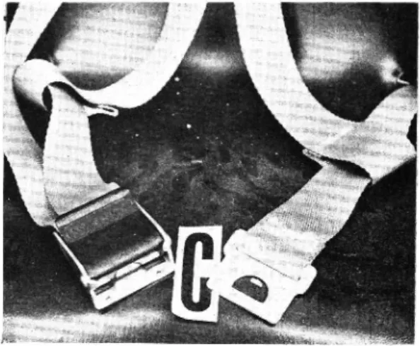 Fig. No. 5 Photograph of seat + buckle