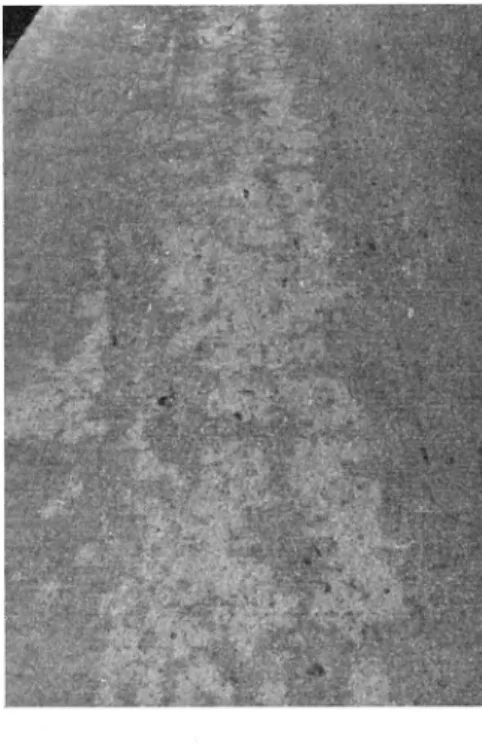 Fig.  2.  Ytavflagn in g  på  betongvägen  vid  Ling­