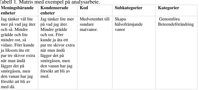 Tabell 1. Matris med exempel på analysarbete. 