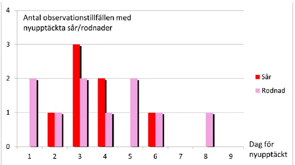 Figur 2. Nyupptäckt sår/rodnad och vilken dag det observerades 