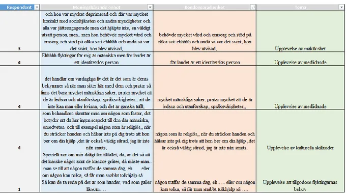 Tabell 1. Utdrag från analysmatrisen