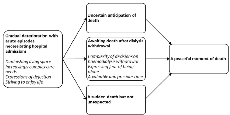 Figure 1.  A gradual deterioration passed in the last weeks into three different end-of-life paths, which  all were described to end in a peaceful moment of death