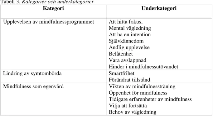 Tabell 3. Kategorier och underkategorier  