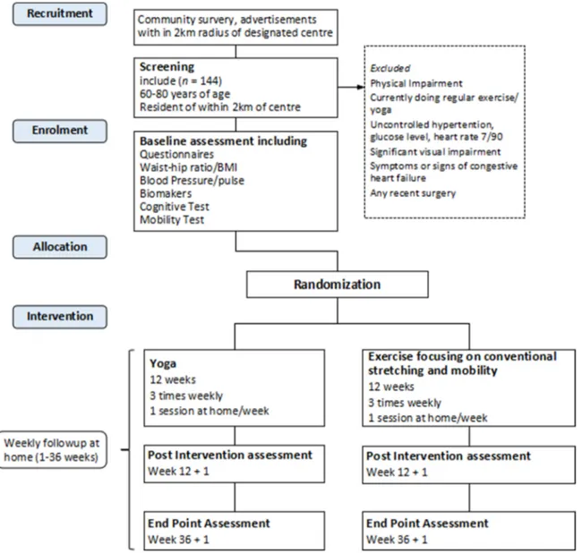 Figure 1. design and participant flow chart according to SPIRIT 2013 guidelines (Standard Protocol  Items: Recommendations for Interventional Trials)