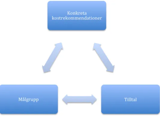 Figur 1: Sambandsbeskrivning utifrån de tre aspekterna; målgrupp, tilltal och konkreta  kostrekommendationer