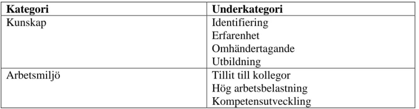 Tabell 3. Resultattabell över kategorier och underkategorier. 