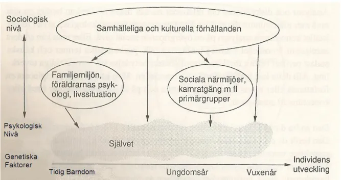 Figur 1 Modell om hur självet påverkas av yttre faktorer. 