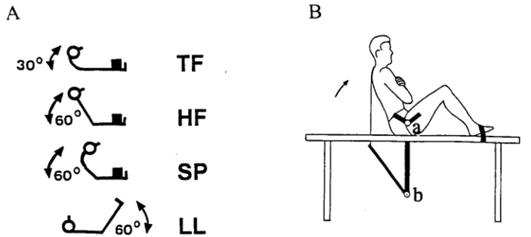 Figure  5.  A)  Tested training  exercises  and  their overall  angular excursions  (Study  II  and  III):  trunk  flexion  sit-up  (TF),  hip  flexion  sit-up  (HF),  spontaneous  sit-up  (SP)  and leg lift (LL)