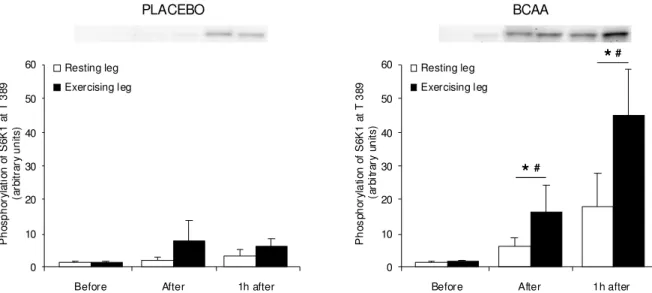 Figure 6. Phosphorylation of S6K1 at Thr 389  in resting and exercising muscle during placebo and BCAA trials