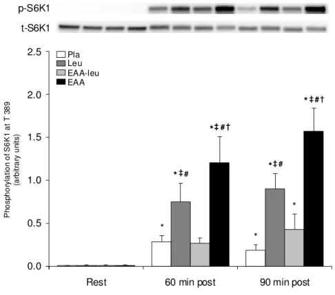 Figure 7. Phosphorylation of  S6K1 at Thr 389  before, 60 and 90 min after exercise in the four trials; placebo  (Pla), leucine (Leu) and essential amino acids with (EAA) and without leucine (EAA-leu)