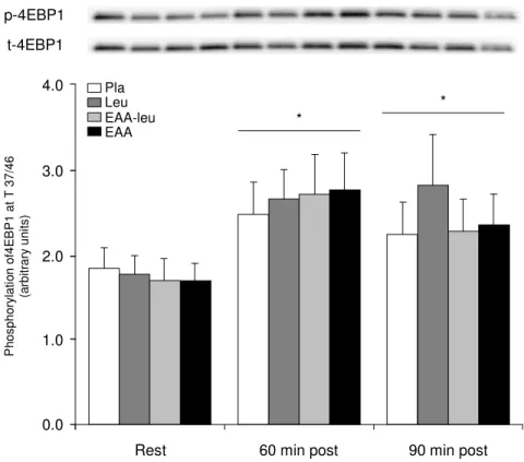 Figure 8. Phosphorylation of  4EBP1 at Thr 37/46  before, 60 and 90 min after exercise in the four trials; placebo  (Pla), leucine (Leu) and essential amino acids with (EAA) and without leucine (EAA-leu)