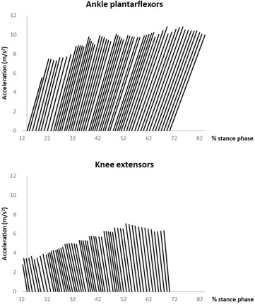 Figure 1: Ankle plantarflexors’ (top) and knee extensors’ (bottom)  contributions to fore-aft and vertical body COM accelerations