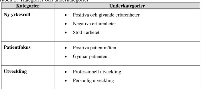 Tabell 2.  Kategorier och underkategorier 