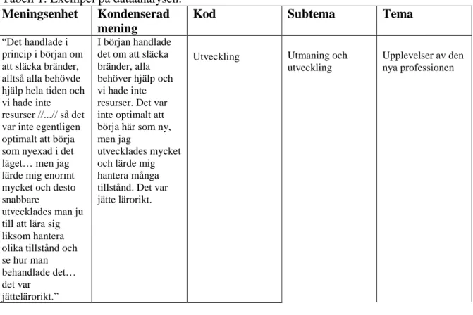 Tabell 1. Exempel på dataanalysen. 