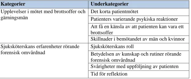Tabell 2: Resultatöversikt av kategorier och underkategorier 