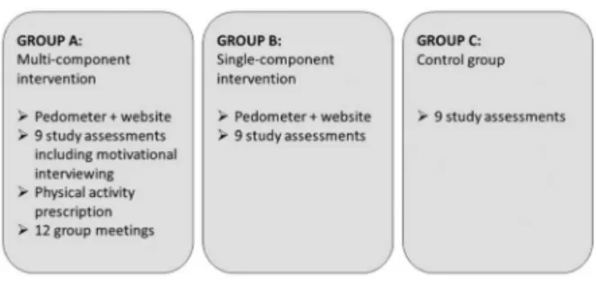 Table 1 Participants ’ demographics.