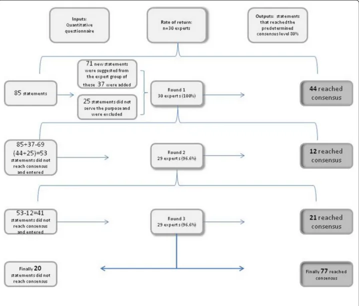 Figure 1 Overview of consensus process for indicators for disaster medical response.