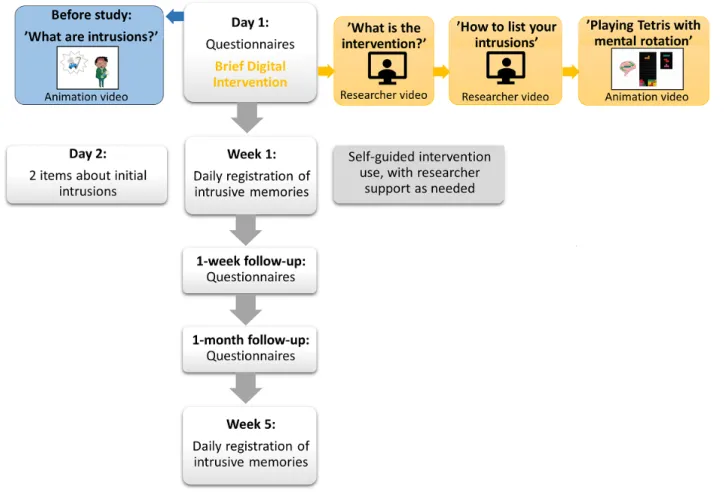 Figure 1.  Flow of study procedures. Note that, in contrast to the planned follow-up randomized controlled trial, for these pilot participants, participation ended after the week 5 diary was complete.