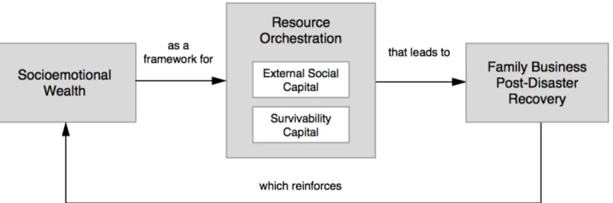 Figure 5. SEW as a Source for Sustainable Advantage: An Alternative Explanation to the  Findings