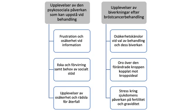 Figur I. Översikt kategorier och subkategorier 