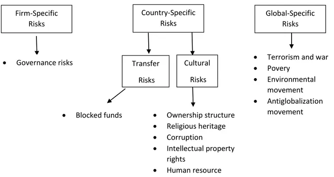 Figure 4. Classification of Political Risks 