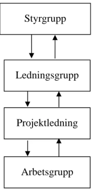 Figur 5.1  Projektorganisation i projekt Botvid 