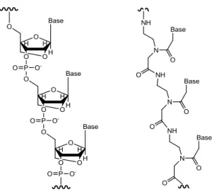 Figure 4. Backbone of locked nucleic acid (LNA) and peptide nucleic acid (PNA). 