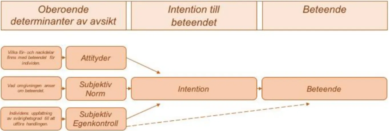 Figur 1: Theory of Planned Behavior (TPB), tolkad modell efter beskrivning av teorin (Azjen, 1991; 