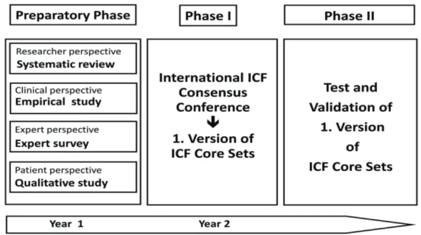 Figure 6. The development process of the ICF Core Sets. 