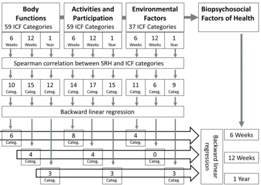 Figure 13. The stepwise approach to identify factors of self-reported health at three  different time points