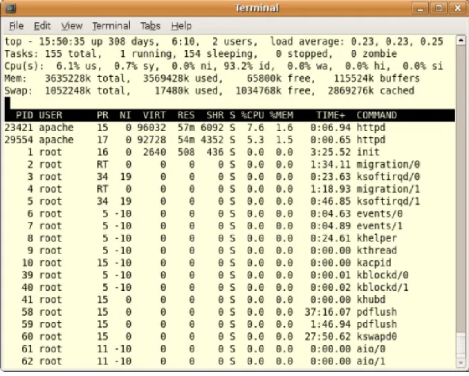 Figure 2.4: An example of Top command output