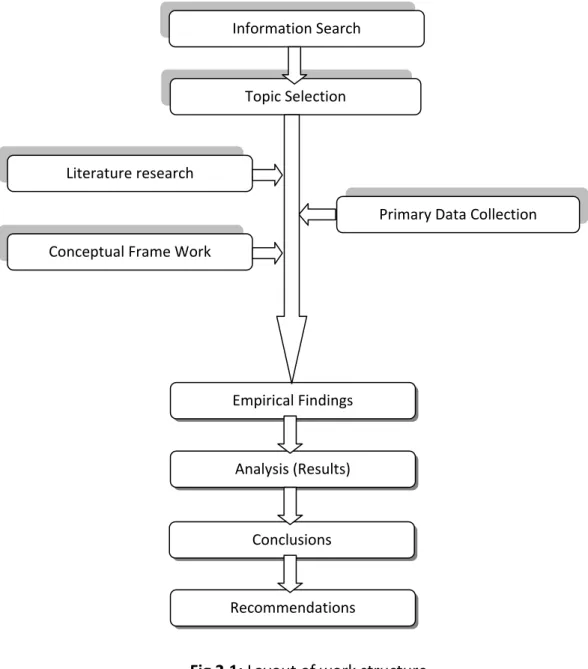 Fig 2.1: Layout of work structure Topic Selection 