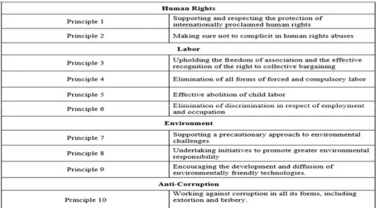 Table 1. United Nation Global Compact Framework 