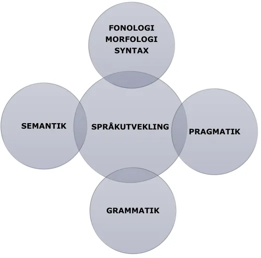 Figur 1. En bild av centrala beståndsdelar i språkutvecklingen tolkad utifrån Håkansson (2017)