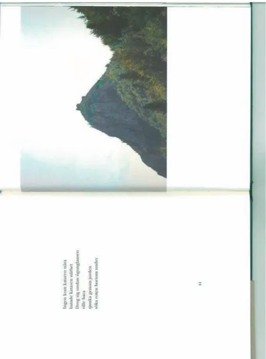 Fig. 1. Katarina Frostenson, text, Jean Claude Arnault, bild, Endura (2002), färgfotografi,  140 mm x 175 mm, s