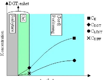 Figur 3. Schematiskt tvärsnitt över DGT enheten och angränsande porlösning. 