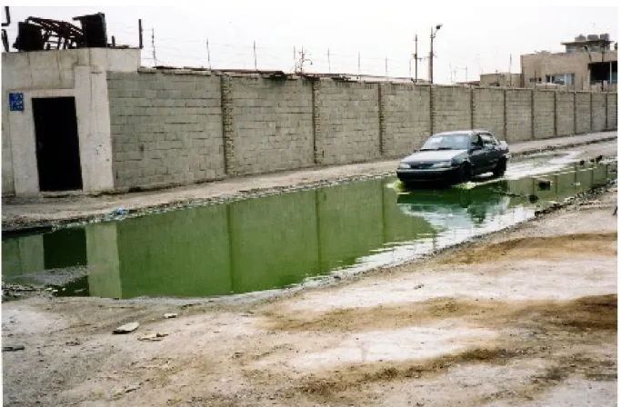Fig 1. Street in Baghdad, partially flooded with wastewater (Photo Nasik Al.Najjar, 2004)