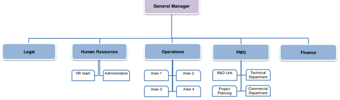 Figure 2. Organizational Chart for Case 1 