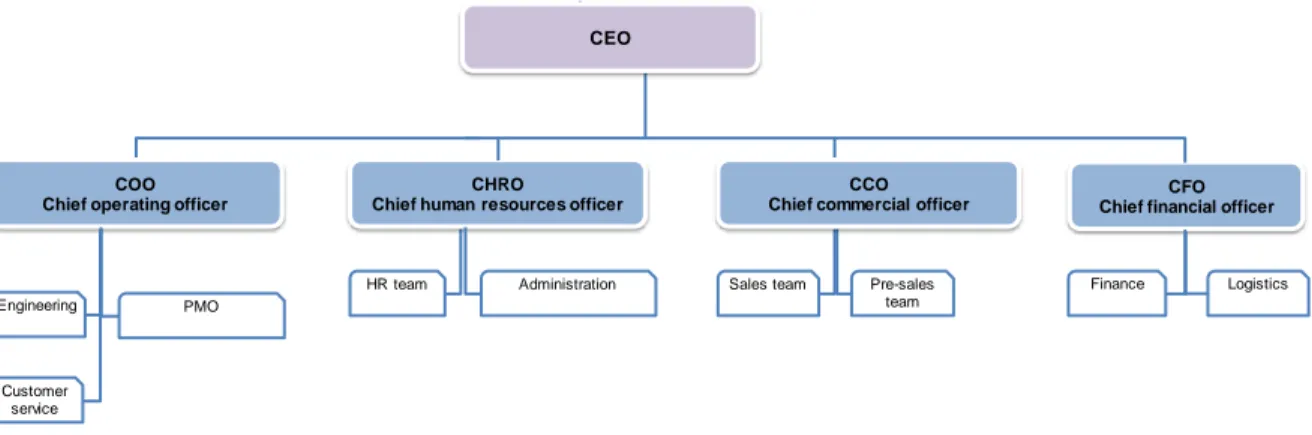 Figure 4. Organizational Chart for Case 3 