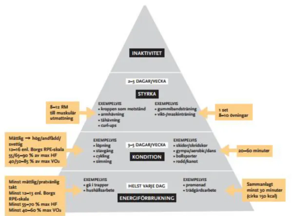 Figur 2: Aktivitetspyramid (Statens folkhälsoinstitut, 2008). 