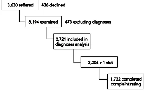 Figure 2. Flow chart for the population in Study IV. 