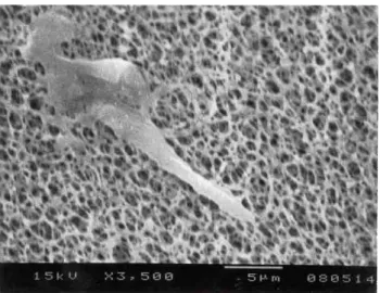 Fig. 8 The vacuole is broken due to the high pressure in the gold plating camber. 