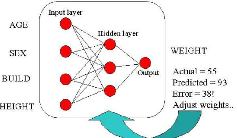 Figure 1.4. Learning a neural network to predict a person’s weight   based upon their age, sex, build and height