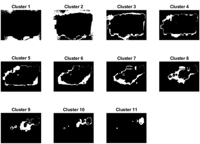 Figure 17: All clusters separated in individual images, with the white parts is the area of the cluster in each image.