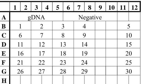 Figure 10. Plate setup. cDNA from 30 tissue samples were run in duplicate. Five positive (genomicDNA)  and five negative (RNA free water) controls were run on each plate.