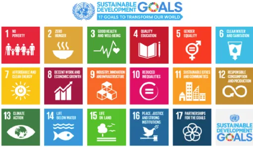 Figure 5: United Nation’s Sustainable Development Goals (United Nations, 2020a) 