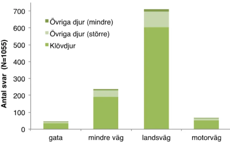 Figur 11. Antalet olyckor med klövdjur och andra arter i relation till vägtyp. Övriga större  djur omfattar t.ex