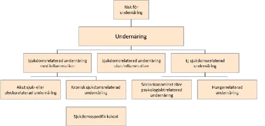 Figur 2. Fritt översatt Diagnosträd. Källa: ESPEN guidelines on definitions and terminology of clinical nutrition  (Cederholm et al., 2017)