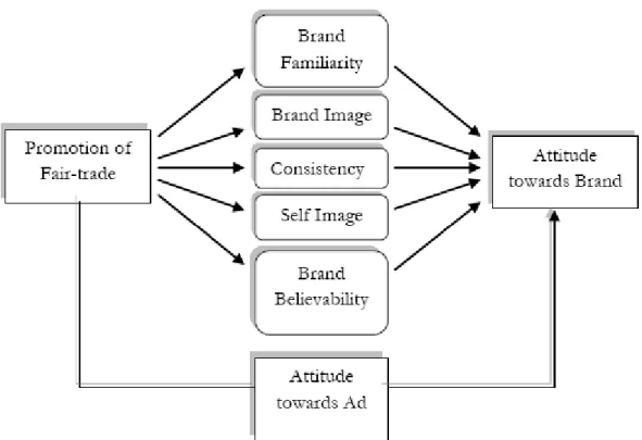 Figure 1. The authors model of the attitude towards the brand with Fairtrade promotion