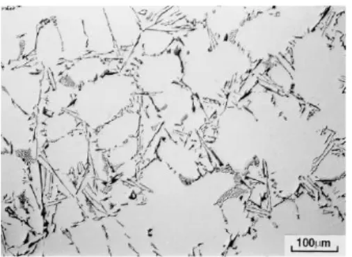 Figure 2.5:  Non modified AlSi7Mg0.3 alloy microstructure with a flakes formed eutectic structure [4] 